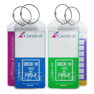 PMS Pantone Color PVC Etykiety bagażowe Stalowe pętle Druk offsetowy