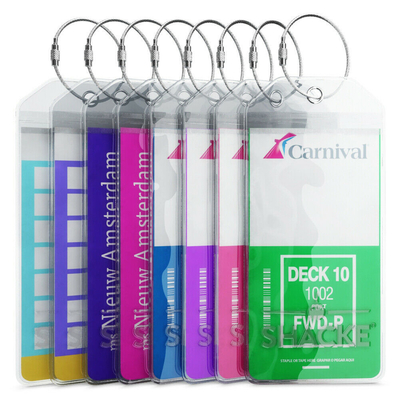 PMS Pantone Color PVC Etykiety bagażowe Stalowe pętle Druk offsetowy
