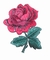 4 &quot;czerwony kwiat róży haftowane żelazko na łacie z klejem z tyłu